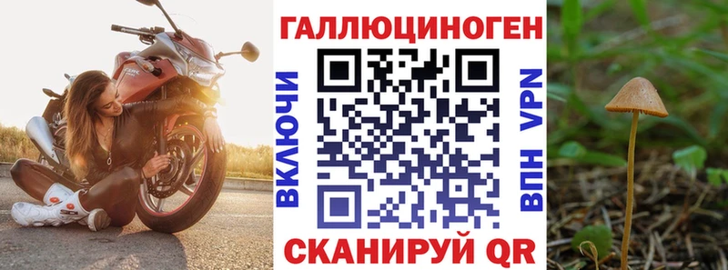 Галлюциногенные грибы GOLDEN TEACHER  Зуевка 